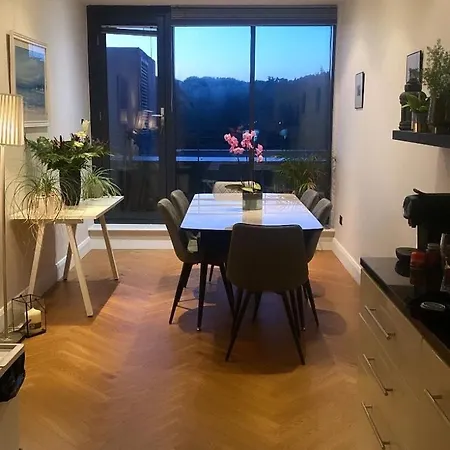 Stylish Rooftop River Liffey View Δουβλίνο